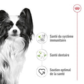 Royal Canin Aliment Sec Chien X-Small Adult